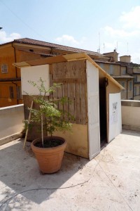 http://www.donatellabernardi.ch/files/gimgs/th-14_20_ROMA-copyOKOK.jpg